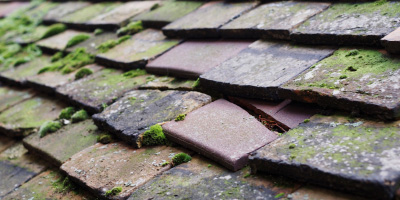 Tre Vaughan roof repair costs